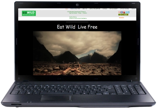 Κατασκευή ιστοσελίδας Eatwild