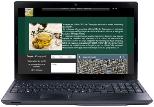 κατασκευή ιστοσελίδας Παραγωγού